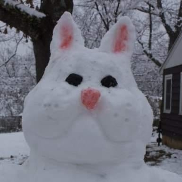 Meet your Posher, Ayla - Picture 1 of 1